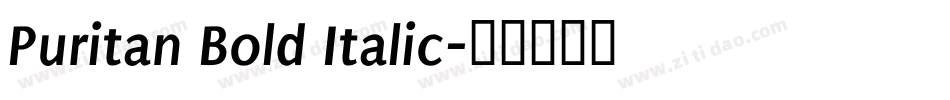 Puritan Bold Italic字体转换